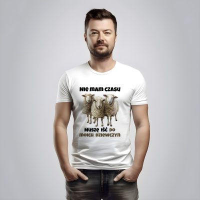 Owce – Nie mam czasu muszę iść do moich dziewczyn owieczki owca